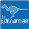 BlueCamroo