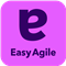 Easy Agile Programs