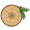 PineStem